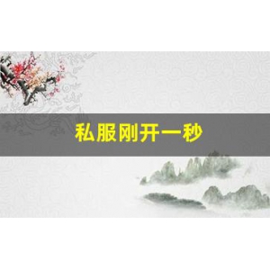 <strong>私服刚开一秒(新区刚开一秒传奇) (2)</strong>