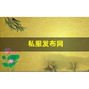 私服发布网(手游私sf平台) (3)